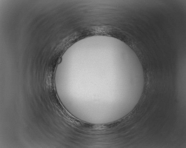 X0000085730514200703160840