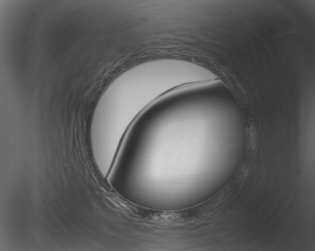 X0000085730517200703160840