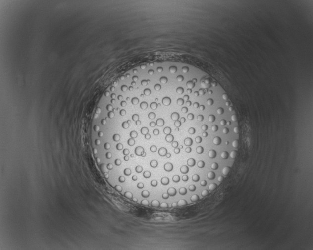 X0000085730519200703160840