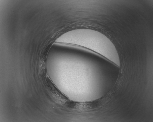 X0000085730521200703160840