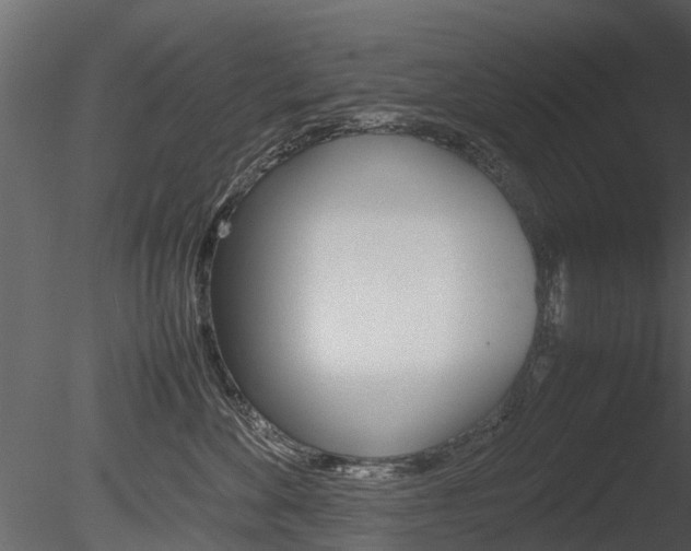 X0000085730524200703160840