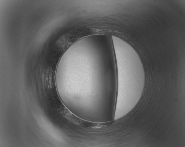 X0000085730525200703160840