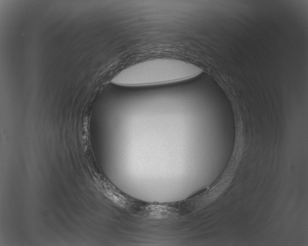 X0000085730528200703160840