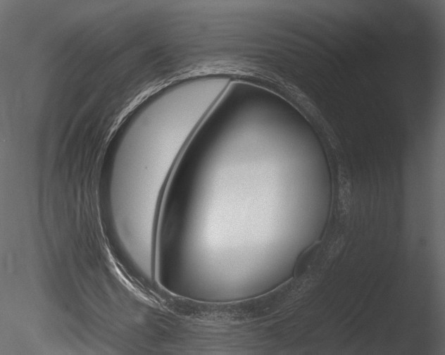 X0000085730530200703160839