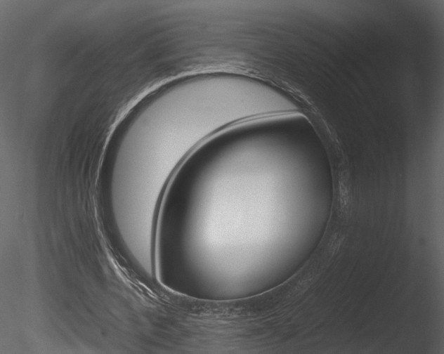X0000085730532200703160839