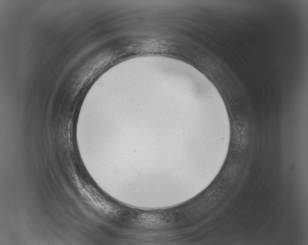 X0000085730534200703160839