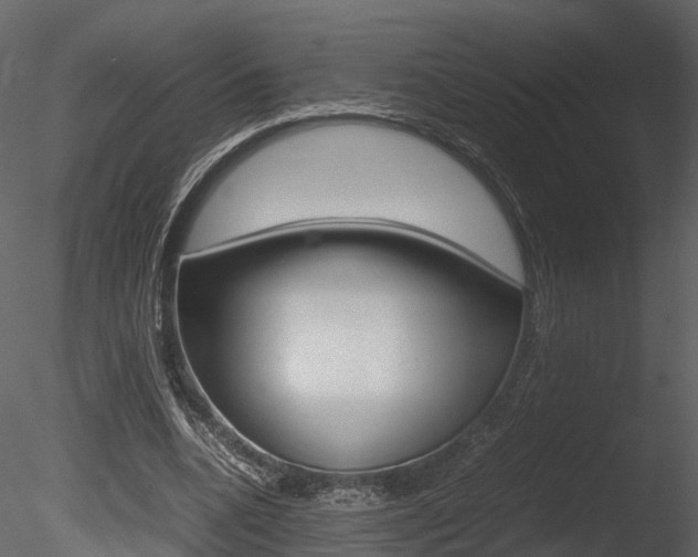 X0000085730536200703160839