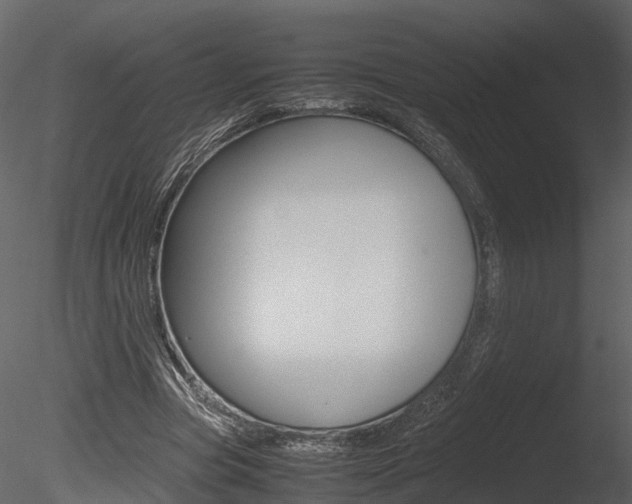 X0000085730537200703160839