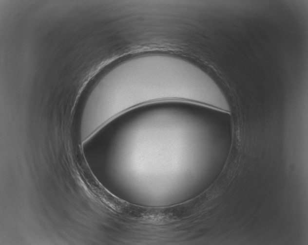 X0000085730540200703160839