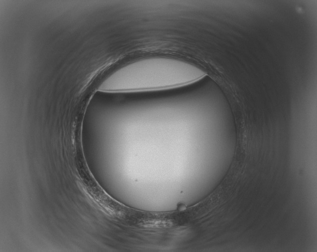 X0000085730543200703160839