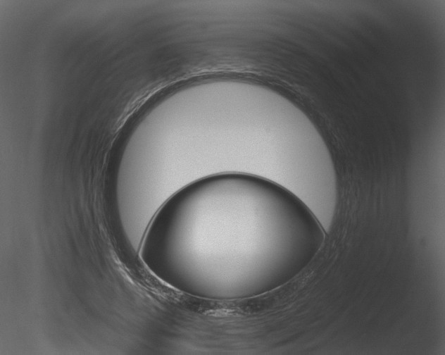 X0000085730544200703160839