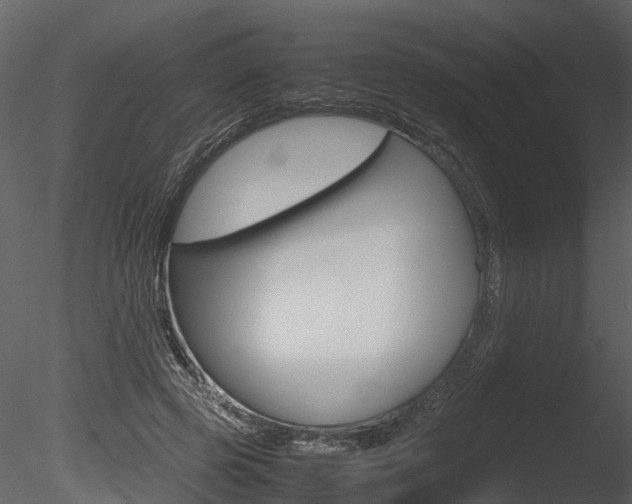 X0000085730545200703160839