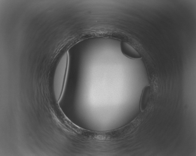 X0000085730546200703160839