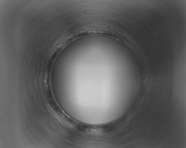 X0000085730548200703160839