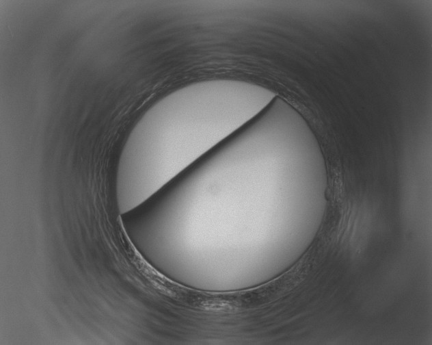 X0000085730549200703160839