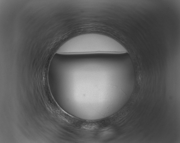 X0000085730551200703160839