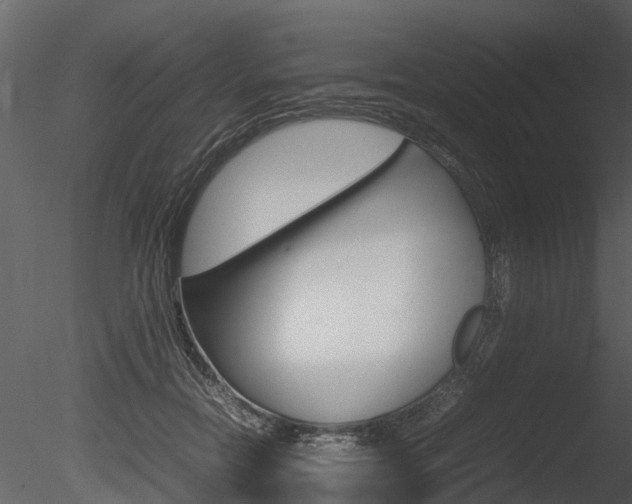 X0000085730554200703160839