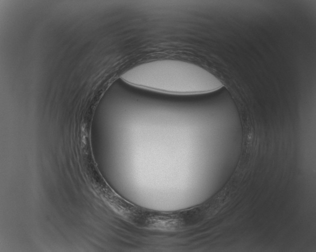 X0000085730555200703160839