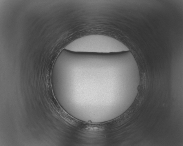 X0000085730557200703160839