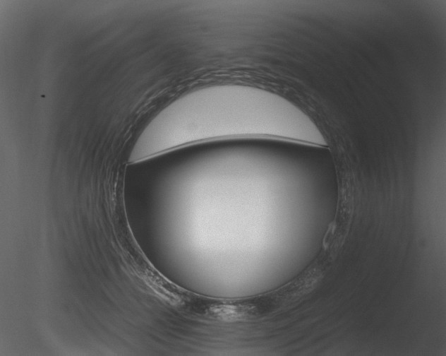 X0000085730558200703160839