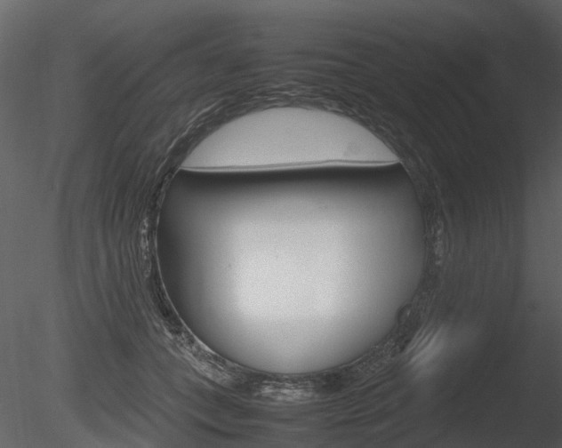 X0000085730559200703160839