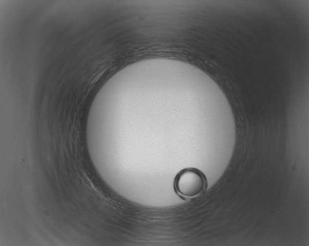 X0000085730560200703160839