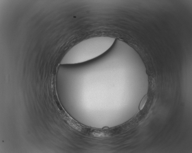 X0000085730561200703160839