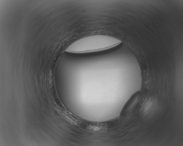 X0000085730563200703160839