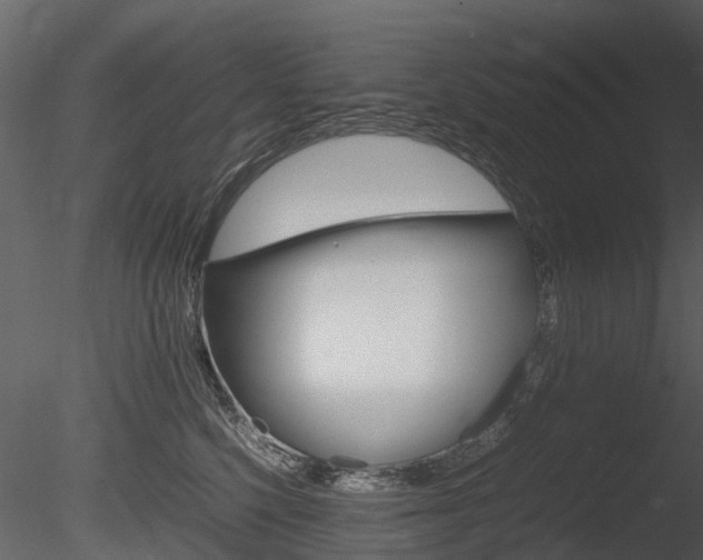 X0000085730568200703160839