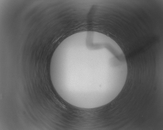 X0000085730572200703160840