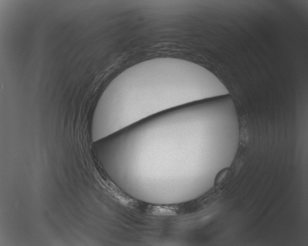 X0000085730573200703160840