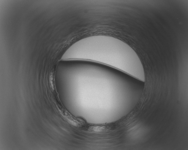 X0000085730575200703160840