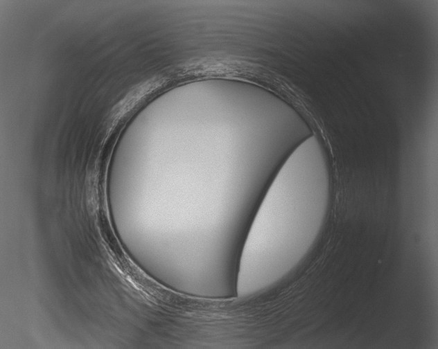 X0000085730578200703160839