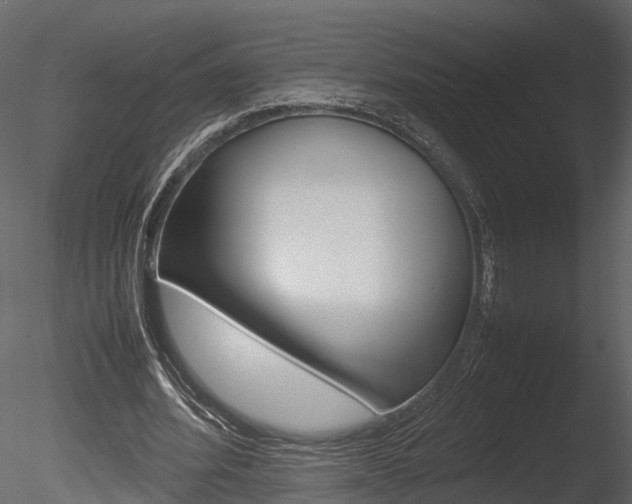 X0000085730580200703160839