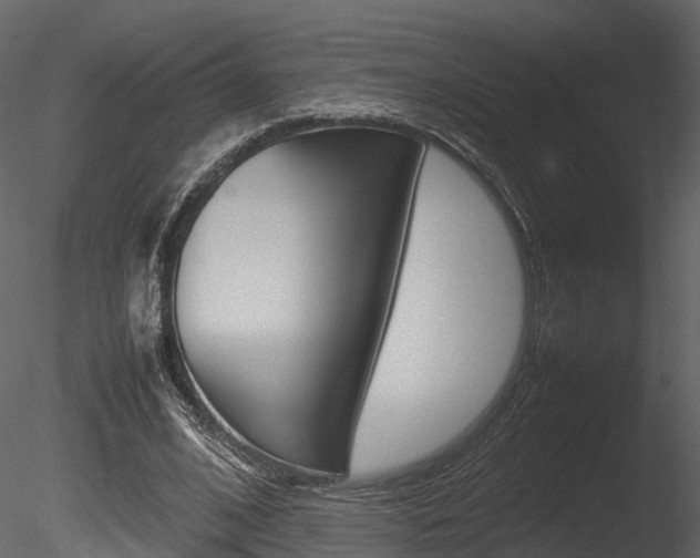 X0000085730584200703160839