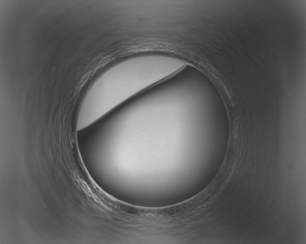 X0000085730585200703160839