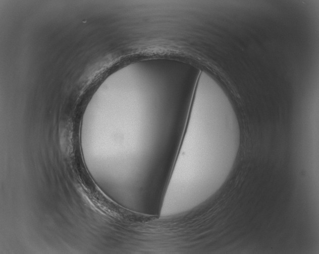 X0000085730588200703160839