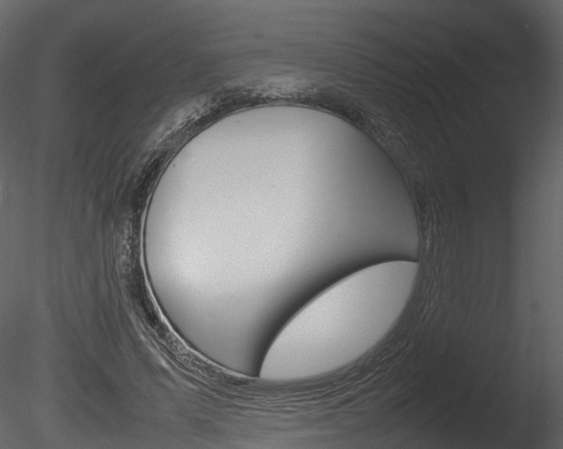 X0000085730591200703160839