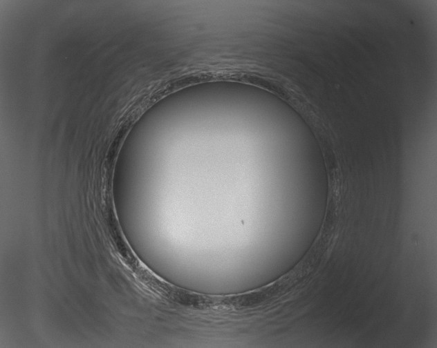 X0000085730593200703160838