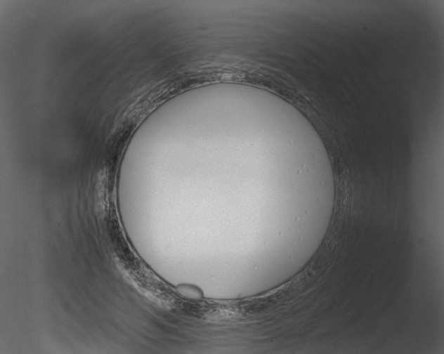 X0000085730594200703160838