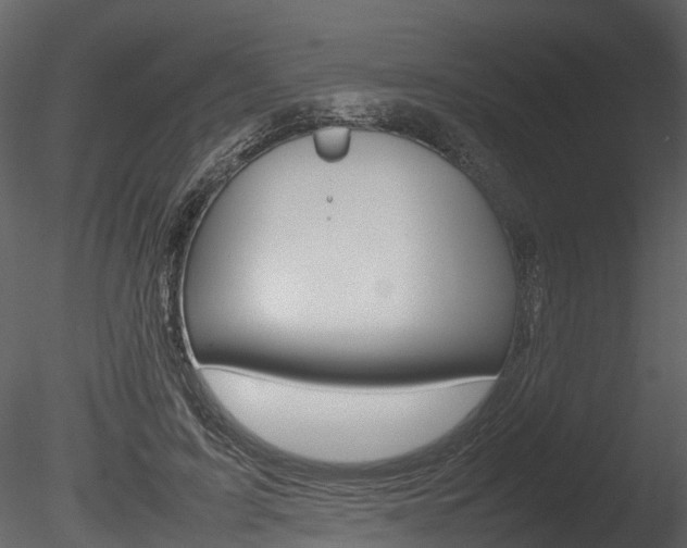 X0000085730595200703160838
