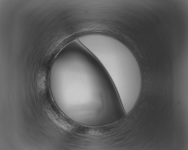 X0000085730596200703160838