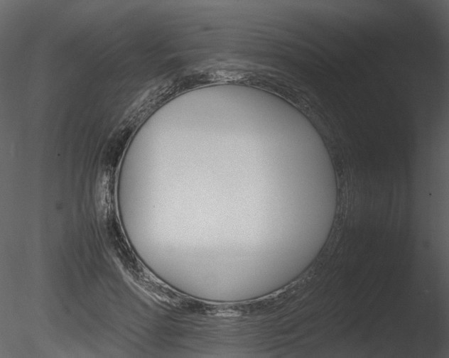 X0000085730598200703160838