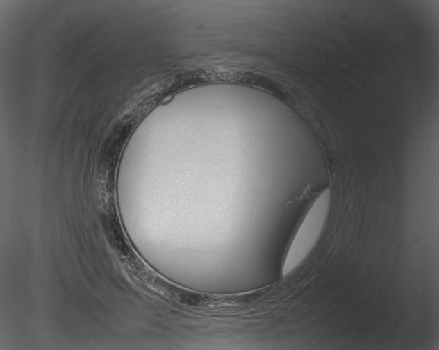 X0000085730599200703160838