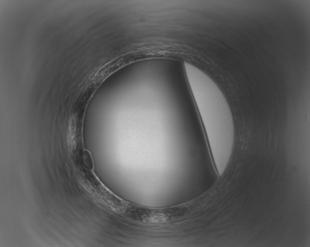 X0000085730600200703160838