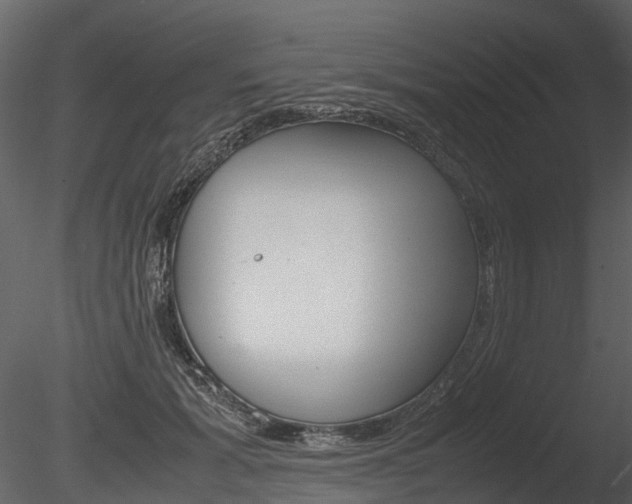 X0000085730605200703160838