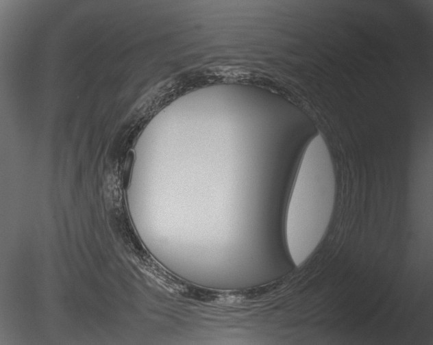 X0000085730609200703160838