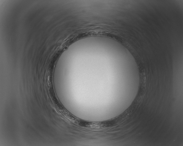 X0000085730615200703160838