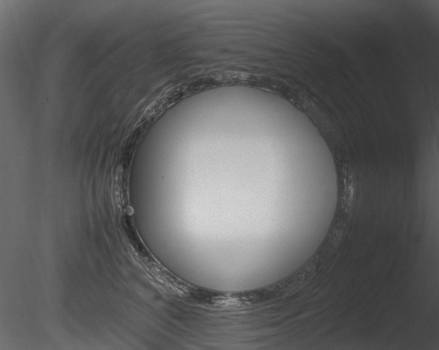 X0000085730616200703160838