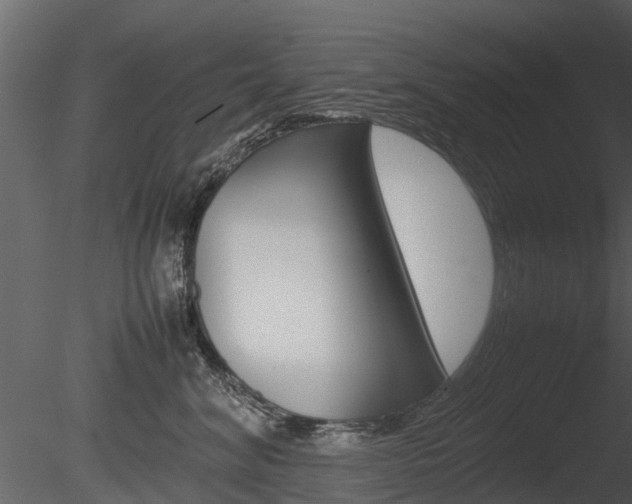 X0000085730620200703160838